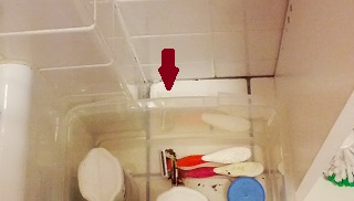 Illustration for article titled CBP, The Cleansening: Geronimouse, Accessory After the Fact